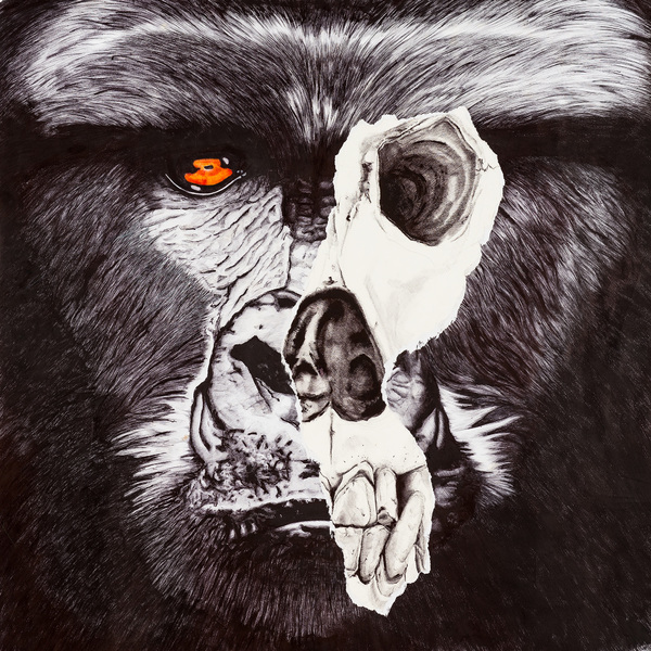 Face de singe 6