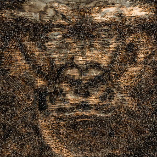 Face de singe 1 , C