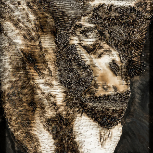 Portrais aux clous