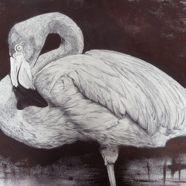 Rose Flamand 
