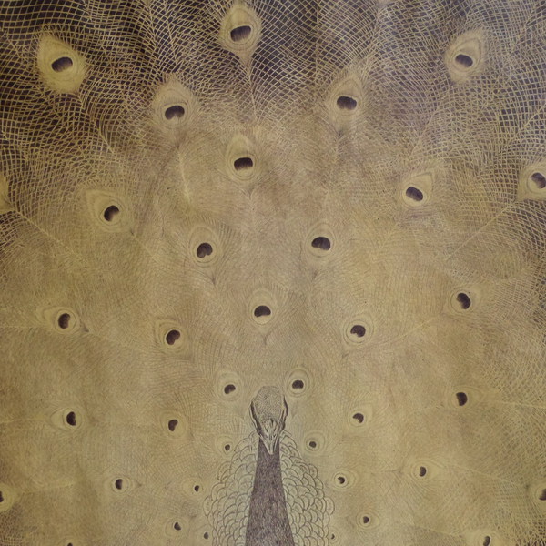 Paon , bic noir et B