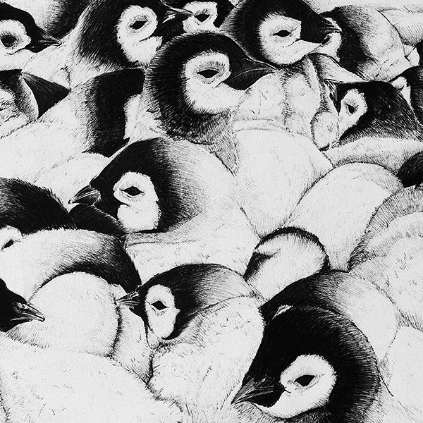 La récrée, bic noir.